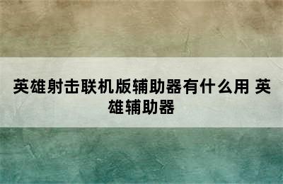 英雄射击联机版辅助器有什么用 英雄辅助器